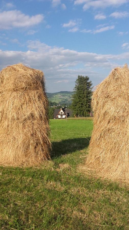 Willa Goralskie Klimaty Bukowina Tatrzańska Exterior foto