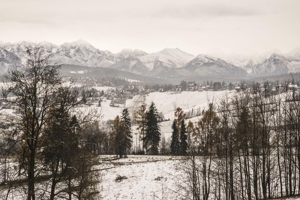 Willa Goralskie Klimaty Bukowina Tatrzańska Exterior foto